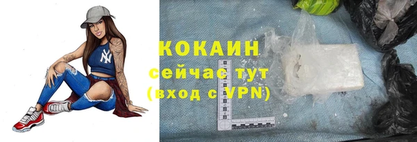 прущая мука Бородино