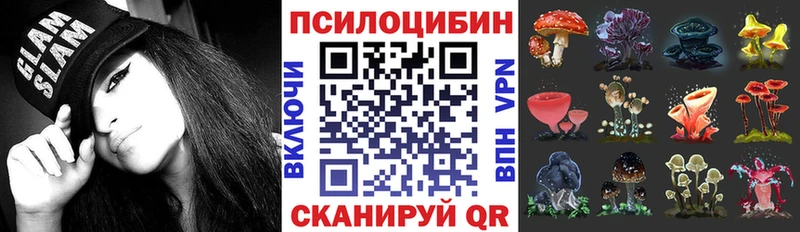 Галлюциногенные грибы Psilocybine cubensis  mega ССЫЛКА  Ува 